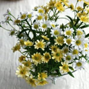 ＜ 閉店SALE 在庫処分価格 > デージー 6P 造花 フェイクフラワー インテリア  アーティフ...