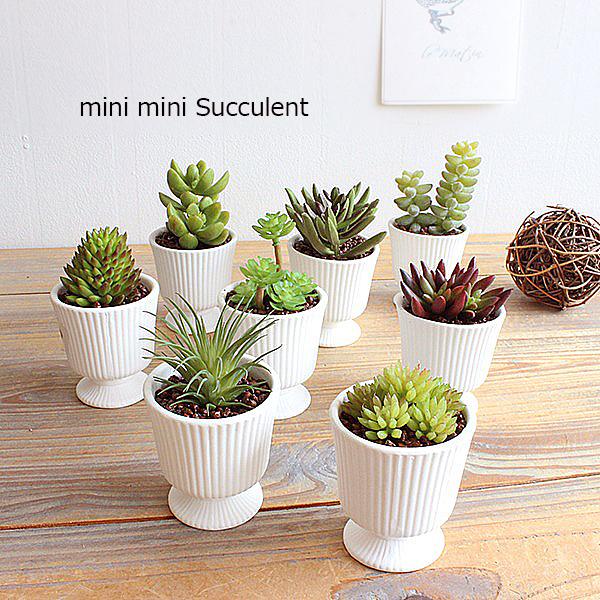 ミニミニサキュレントポット 多肉植物  Succulent 造花 CT触媒 消臭 ギフト プレゼント
