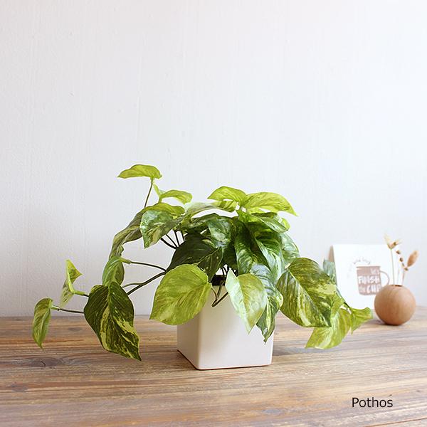 ポトス 40cm 造花 CT触媒 消臭 フェイクグリーン 観葉植物 人工観葉植物