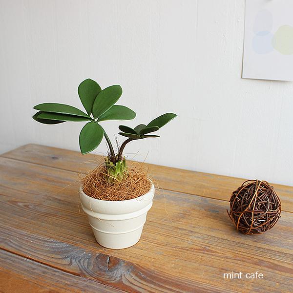 トロピカルリーフポット =  H21cm フェイクグリーン 造花 ミニ観葉 CT触媒