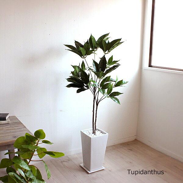 ＜櫻井・有吉the夜会 7月13日(木)放送されました＞　ツピタンサス 115cm 造花 観葉植物 ...