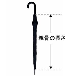 ビニール傘 透明 60cm ジャンプ式 黒パー...の詳細画像3