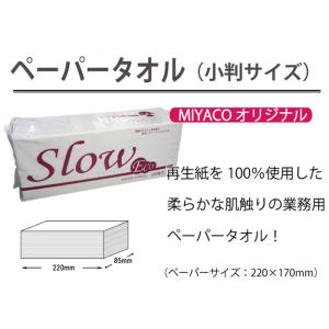 業務用ペーパータオル 小判 Slow ECO ...の詳細画像2