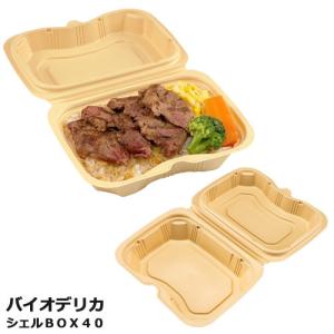 バイオデリカ シェルBOX40 クラフトB RHDT102 300枚の商品画像