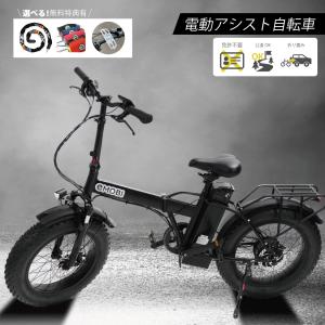 ミッキーマウス折畳み自転車 ミッキーマウスの折りたたみ自転車を購入!! カインズホーム