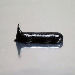 セメダイン シューズドクターN ブラック 20...の詳細画像5