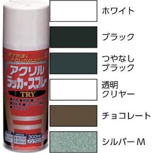 ニッペ　アクリルラッカースプレーＴＲＹ　３００ｍｌ　透明クリヤー
