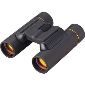 池田レンズ　ダハタイプ　コンパクト　双眼鏡１０倍　１０ｘ２５