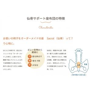 仙骨サポート座布団 デスクワークの方におすすめ...の詳細画像2