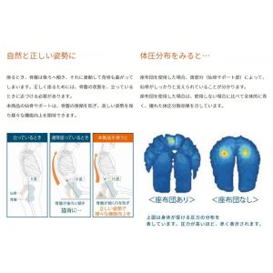 仙骨サポート座布団 デスクワークの方におすすめ...の詳細画像3