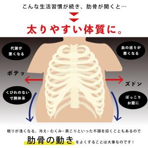 肋骨ベルト ろっ骨ベルト ととのう肋骨サポータ...の詳細画像3