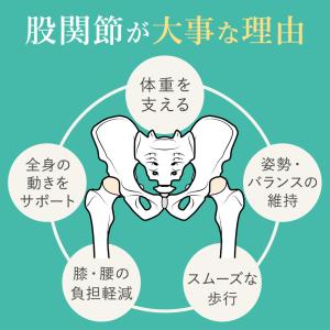 【日本製】ととのう 股関節 サポーター テーピ...の詳細画像3