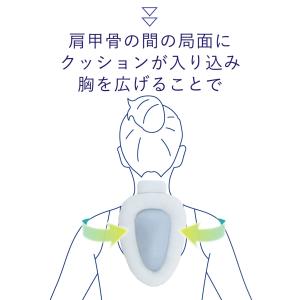 人気【おやすみ猫背枕】 背筋矯正 対策 グッズ...の詳細画像2