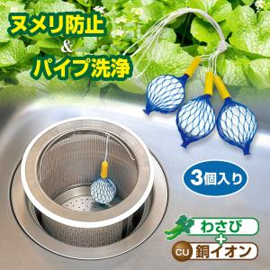 加納あずま。カラスの休日。毎日がピクニック。 Amazon.co.jp: 加納 あずま: 本