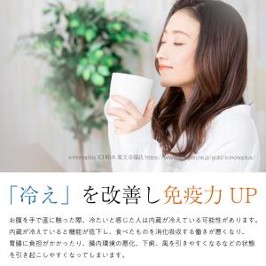腰 温める グッズ〔ふわふわ暖か電熱腰ベルト〕...の詳細画像3