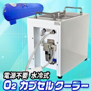 酸素カプセル用 酸素濃縮器 エアリスシリーズ専用 【 O2酸素濃縮器