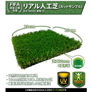 人工芝 カットサンプル 【 リアル人工芝 サン...の詳細画像1