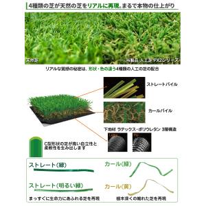 人工芝 ロール 【 リアル人工芝 】 1mx1...の詳細画像2
