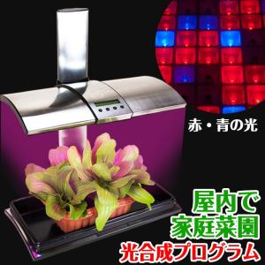 水耕栽培キット 植物育成 LEDライト付 吊下げ用チェーン ワイヤーフック 【 キッチンガーデン LED Kitchen Garden 】 野菜栽培キット エコ SDGs サステナブル