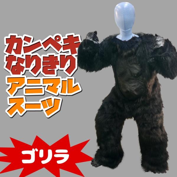 ダイソー ハロウィングッズ 仮装