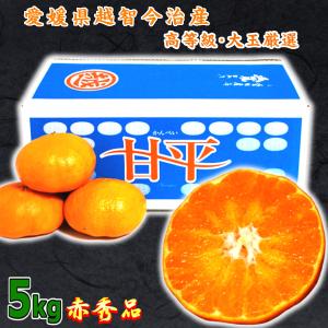 みかん 甘い 甘平 かんぺい 赤秀品 5kg 大玉 愛媛県産 越智今治 みかん 通販 送料無料 2月 旬 果物 高級柑橘 贈答