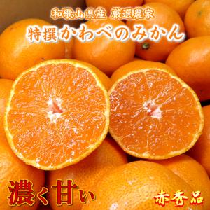 みかん 甘い 5kg S M サイズ 和歌山 赤秀品 2024 ギフト 通販 送料無料 温州ミカン 木なり 完熟 かわべのみかん
