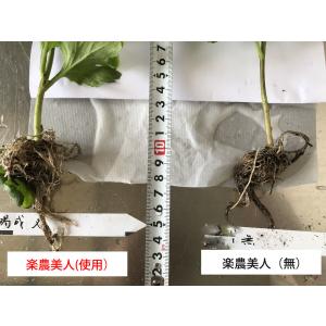 【ネハリの強化!病害抵抗性の向上に!】 楽農美...の詳細画像1