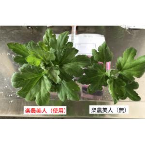 【ネハリの強化!病害抵抗性の向上に!】 楽農美...の詳細画像2