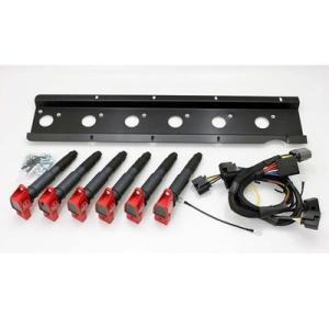 IGNITION PROJECTS/イグニッションプロジェクツ プラズマヘクサパック スカイライン ...