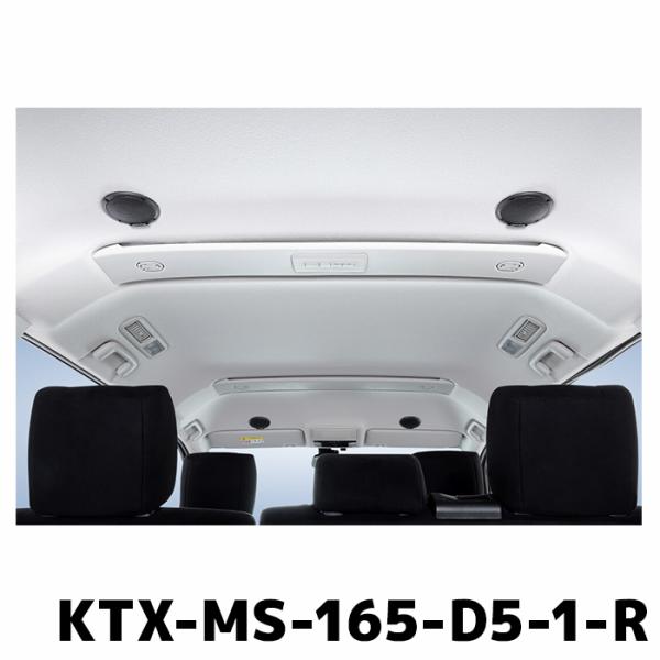 KTX-MS-165-D5-1-R アルパイン MetioSound メティオサウンド リアルーフス...