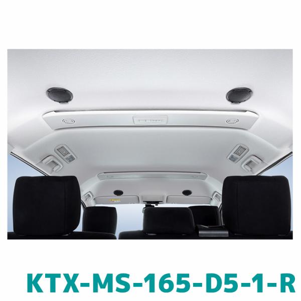 KTX-MS-165-D5-1-R アルパイン MetioSound メティオサウンド リアルーフス...