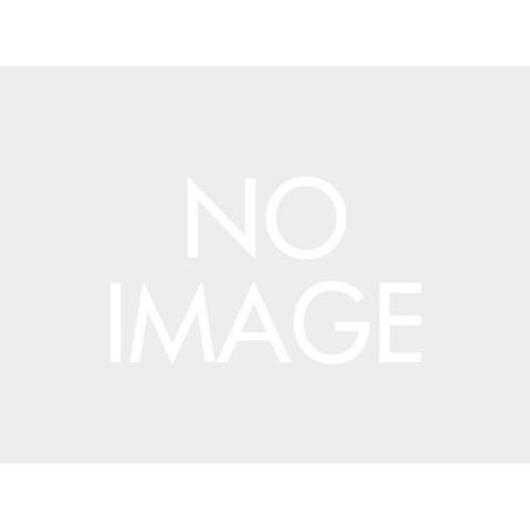 デイトナ（DAYTONA）GIVI SR1188 X-ADV750(21)｜26024