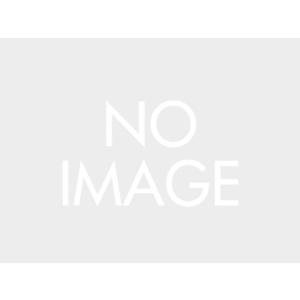 デイトナ（DAYTONA）GIVI 6711DT スクリ-ン SRGT125｜44232｜e-net