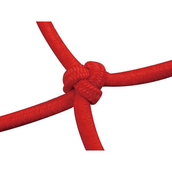 デイトナ（DAYTONA）ポーチ付きネットフック　L　レッド[73390]