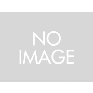 デイトナ（DAYTONA）HBS-001 SAFE シューズ  ブラック(97211)サイズ：26.5｜e-net