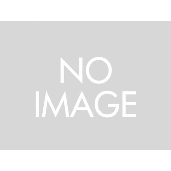 デイトナ（DAYTONA）N702XシールドクリアL-XL (99736)