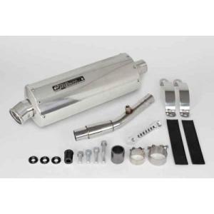 SP TADAO SP忠男マフラー 18~ FORZA フォルツァ 2BK-MF13 POWERBOX