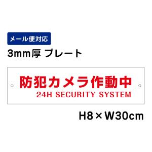 防犯カメラ作動中 24H SECURITY SYSTEM /H8×W30cm プレート 看板プレート　商品番号：ATT-001｜e-netsign
