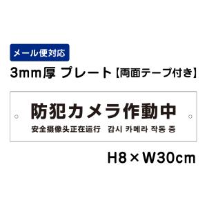 【両面テープ付き】 防犯カメラ作動中 24H SECURITY SYSTEM 外国語表記 /H8×W30cm プレート 看板プレート　商品番号：ATT-003-r｜e-netsign