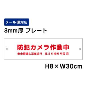 防犯カメラ作動中 24H SECURITY SYSTEM 外国語表記 （赤文字） /H8×W30cm プレート 看板プレート　商品番号：ATT-004｜e-netsign