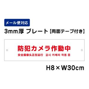 【両面テープ付き】 防犯カメラ作動中 24H SECURITY SYSTEM 外国語表記 （赤文字） /H8×W30cm プレート 看板プレート　商品番号：ATT-004-r｜e-netsign