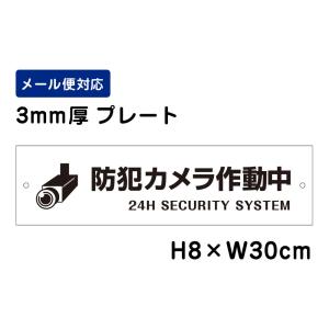 防犯カメラ作動中 24H SECURITY SYSTEM ピクト表示 /H8×W30cm プレート 看板プレート　商品番号：ATT-005｜e-netsign