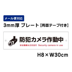 【両面テープ付き】 防犯カメラ作動中 24H Security camera in use ピクト表示 /H8×W30cm プレート 看板プレート　商品番号：ATT-006-r｜e-netsign