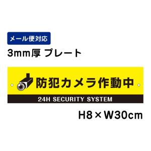 防犯カメラ作動中 24H SECURITY SYSTEM ピクト表示 /H8×W30cm プレート 看板プレート　商品番号：ATT-007｜e-netsign