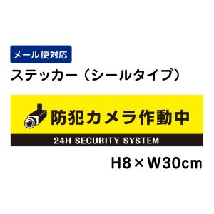 防犯カメラ作動中 24H SECURITY SYSTEM ピクト表示 /H8×W30cm ステッカー 看板ステッカー　商品番号：ATT-007sty｜e-netsign