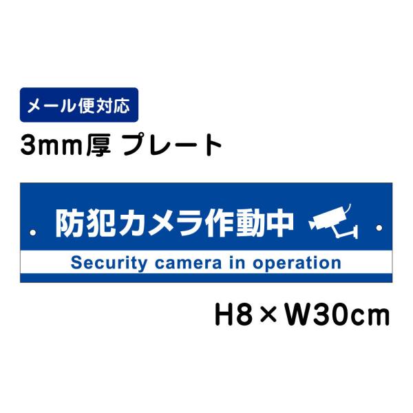 防犯カメラ作動中 24H SECURITY SYSTEM （青地）/H8×W30cm プレート 看板...