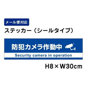 防犯カメラ作動中 24H SECURITY SYSTEM （青地）/H8×W30cm ステッカー 看板ステッカー　商品番号：ATT-008sty｜e-netsign