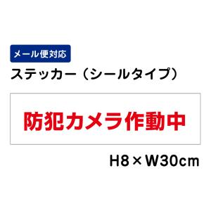 防犯カメラ作動中 /H8×W30cm ステッカー 看板ステッカー　商品番号：ATT-009sty｜e-netsign