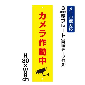 【両面テープ付き】 カメラ作動中 ピクト表示 /H30×W8cm プレート 看板プレート　商品番号：ATT-011t-r｜e-netsign