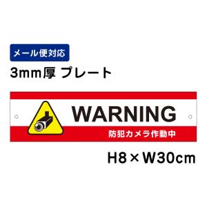 WARNING 防犯カメラ作動中 24H SECURITY SYSTEM /H8×W30cm プレート 看板プレート　商品番号：ATT-012｜e-netsign